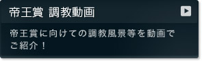 帝王賞 調教動画