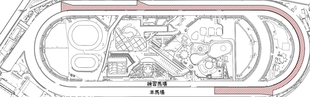 大井競馬場 本馬場の砂の入れ替えについて