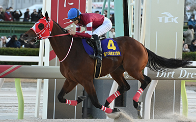 第70回 東京大賞典(GI) | 重賞レース | レースと日程 | 東京シティ競馬 : TOKYO CITY KEIBA