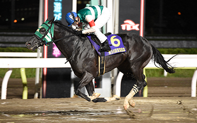 第56回 東京記念(SI) | 重賞レース | レースと日程 | 東京シティ競馬