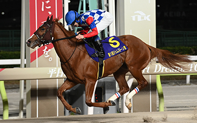 第1回 ジェムストーン賞(SIII) | 重賞レース | レースと日程 | 東京シティ競馬 : TOKYO CITY KEIBA