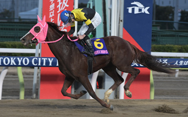 指定席の料金一覧 | 指定席ガイド | 東京シティ競馬 : TOKYO CITY KEIBA