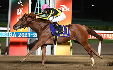 指定席の料金一覧 | 指定席ガイド | 東京シティ競馬 : TOKYO CITY KEIBA