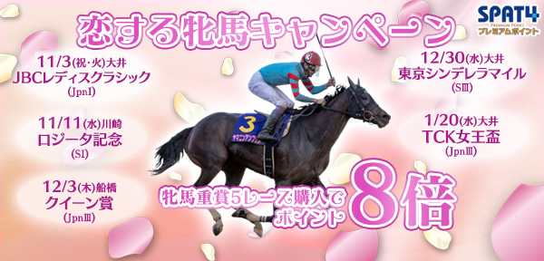 東京シティ競馬 Tokyo City Keiba