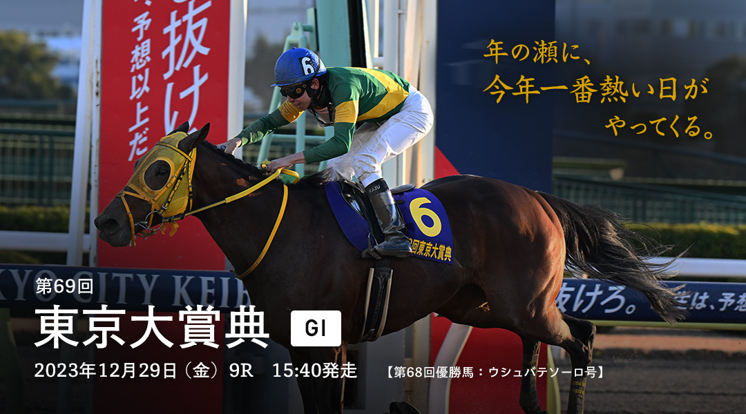 大井競馬 12/29東京大賞典指定席 ダイアモンドターン - 興行チケット